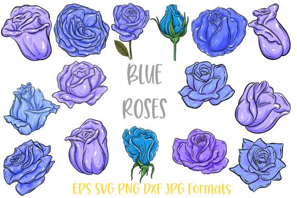 Blue Rose Flower Line Art Graphics and Illustrations