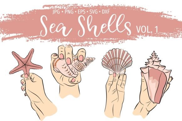 Holding Sea Shells Summer Illustrations & Graphics Review