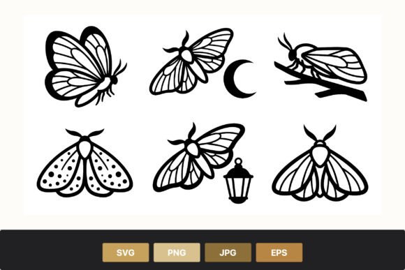 Moth and Butterfly Graphics & Illustrations Set