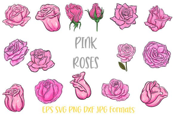 Pink Rose Flower Line Art: Graphics & Illustrations Review